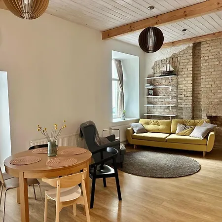 Cozy Studio Apartment Central VNO Esterno foto